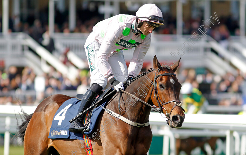 Sharjah-0001 
 SHARJAH (Patrick Mullins)
Aintree 13 Apr 2023 - Pic Steven Cargill / Racingfotos.com