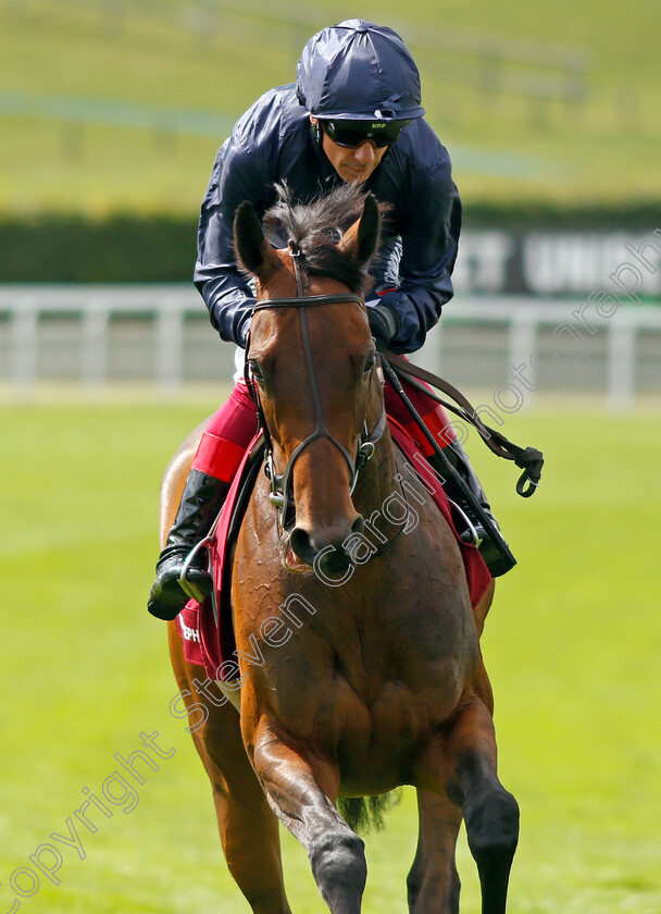 Empress-Josephine-0001 
 EMPRESS JOSEPHINE (Frankie Dettori)
Goodwood 29 Jul 2021 - Pic Steven Cargill / Racingfotos.com