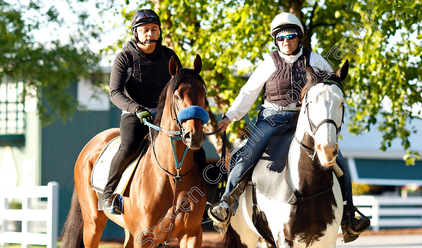 Anothertwistafate-0002 
 ANOTHERTWISTAFATE exercising in preparation for the Preakness Stakes
Pimlico, Baltimore USA, 15 May 2019 - Pic Steven Cargill / Racingfotos.com