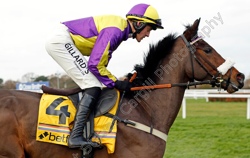 Le-Patron-0011 
 LE PATRON (David Noonan) winner of The Betfair Henry VIII Novices Chase
Sandown 9 Dec 2023 - Pic Steven Cargill / Racingfotos.com