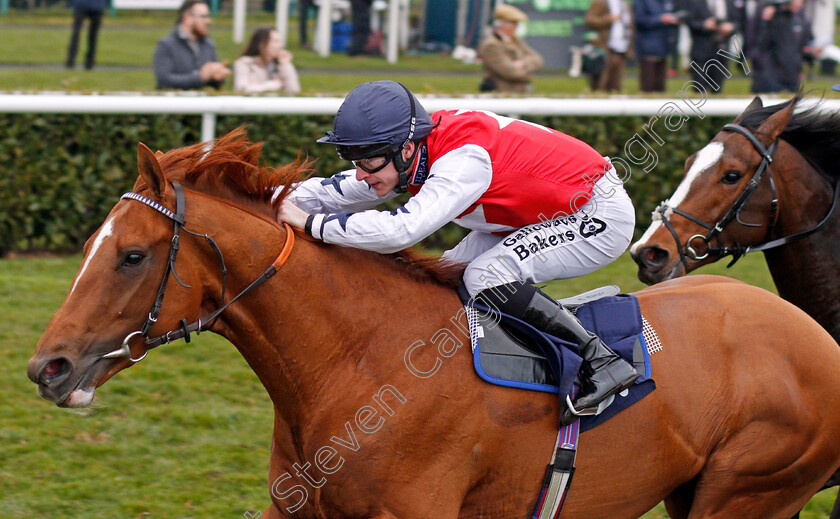 Proschema-0003 
 PROSCHEMA (Richard Kingscote) wins The 32Red Casino Maiden Stakes Doncaster 24 Mar 2018 - Pic Steven Cargill / Racingfotos.com