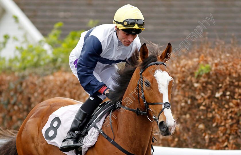 Scottish-Breeze-0002 
 SCOTTISH BREEZE (Kieran Shoemark)
Kempton 3 Apr 2024 - Pic Steven Cargill / Racingfotos.com