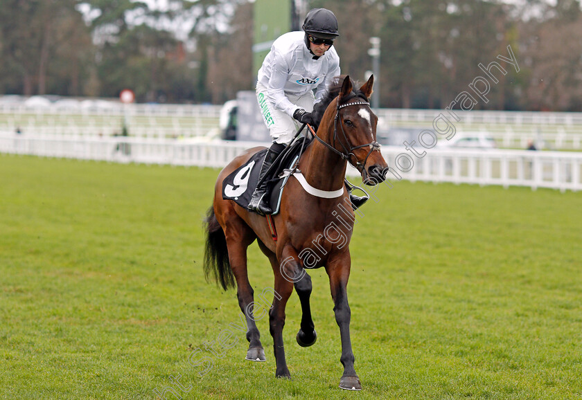 Settie-Hill-0001 
 SETTIE HILL (Nico de Boinville) Ascot 22 Dec 2017 - Pic Steven Cargill / Racingfotos.com