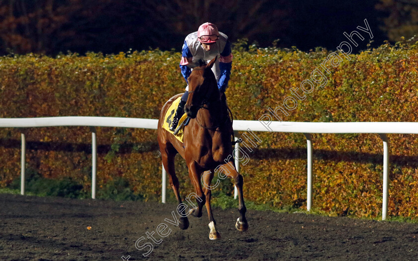 Frightening-0001 
 FRIGHTENING (Hector Crouch)
Kempton 15 Nov 2023 - Pic Steven Cargill / Racingfotos.com