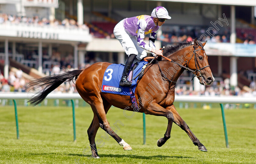 Kinross-0003 
 KINROSS (James Doyle)
Haydock 28 May 2022 - Pic Steven Cargill / Racingfotos.com