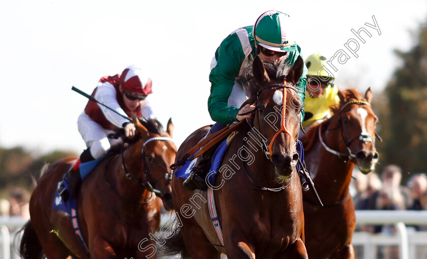 Kaloor-0006 
 KALOOR (Jim Crowley) wins The PKF Francis Clark EBF Novice Stakes Div1
Salisbury 3 Oct 2018 - Pic Steven Cargill / Racingfotos.com