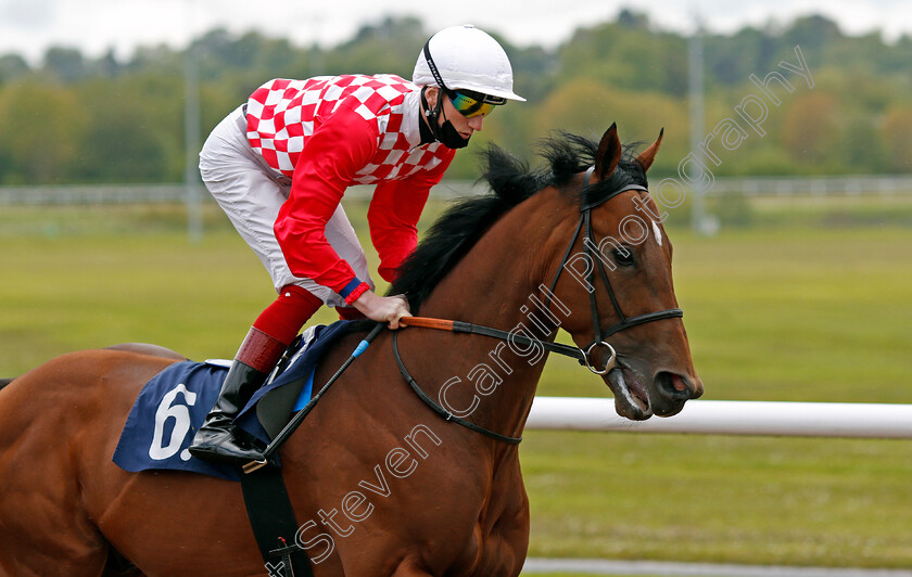 Dinoo-0003 
 DINOO (David Egan)
Wolverhampton 24 May 2021 - Pic Steven Cargill / Racingfotos.com