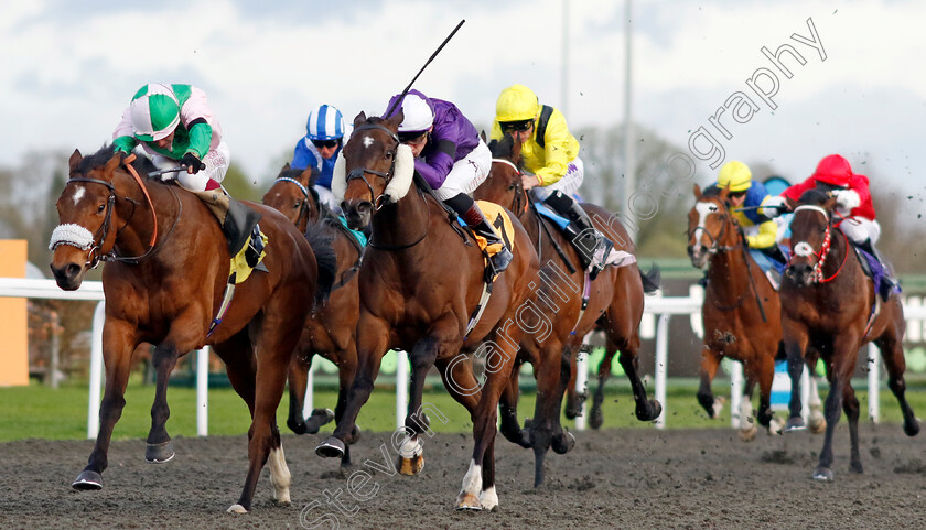 Celtic-Warrior-0006 
 CELTIC WARRIOR (left, Oisin Murphy) beats MASHADI (centre) in The Additional Maiden Stakes
Kempton 3 Apr 2024 - Pic Steven Cargill / Racingfotos.com