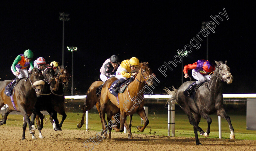 Rocket-Action-0001 
 ROCKET ACTION (Tom Queally) beats CORINTHIA KNIGHT (centre) in The Betway Handicap
Wolverhampton 26 Nov 2019 - Pic Steven Cargill / Racingfotos.com