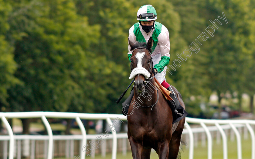 Great-Havana-0001 
 GREAT HAVANA (Oisin Murphy)
Newmarket 24 Jun 2021 - Pic Steven Cargill / Racingfotos.com