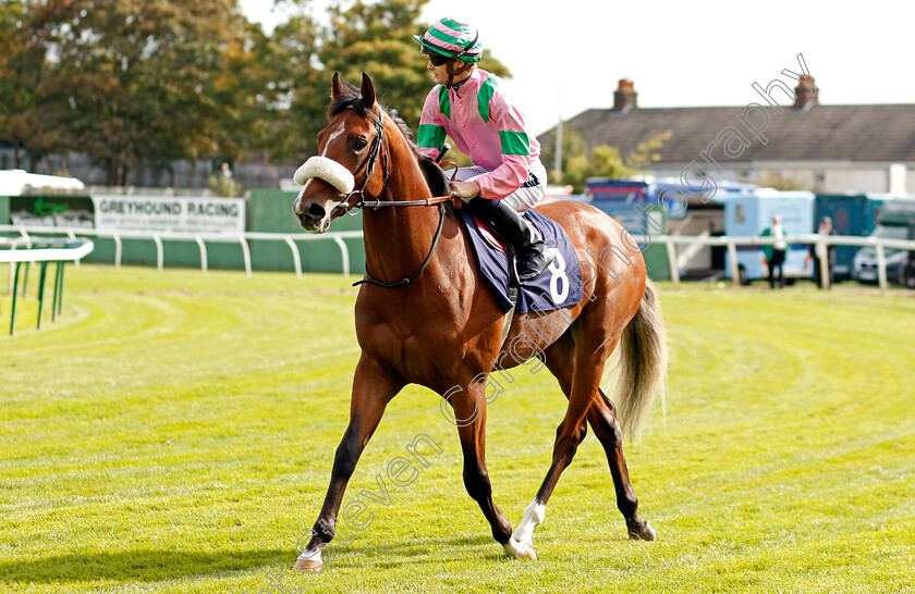 Prime-Minister-0001 
 PRIME MINISTER (Harry Bentley) Yarmouth 20 Sep 2017 - Pic Steven Cargill / Racingfotos.com