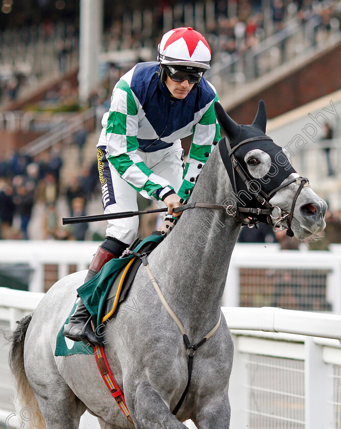 Stolen-Silver-0001 
 STOLEN SILVER (San Twiston-Davies)
Cheltenham 13 Dec 2019 - Pic Steven Cargill / Racingfotos.com