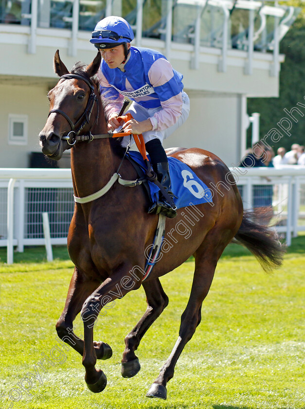 Topofthetrifle-0001 
 TOPOFTHETRIFLE (Rhys Clutterbuck)
Salisbury 11 Aug 2022 - Pic Steven Cargill / Racingfotos.com