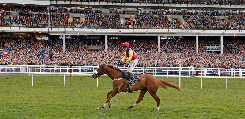 Native-River-0009 
 NATIVE RIVER (Richard Johnson) wins The Timico Cheltenham Gold Cup Cheltenham 16 mar 2018 - Pic Steven Cargill / Racingfotos.com