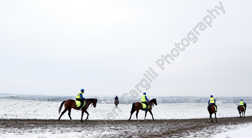 Newmarket-Snow-0010 
 Racehorses training in the snow at Newmarket
1 Feb 2019 - Pic Steven Cargill / Racingfotos.com