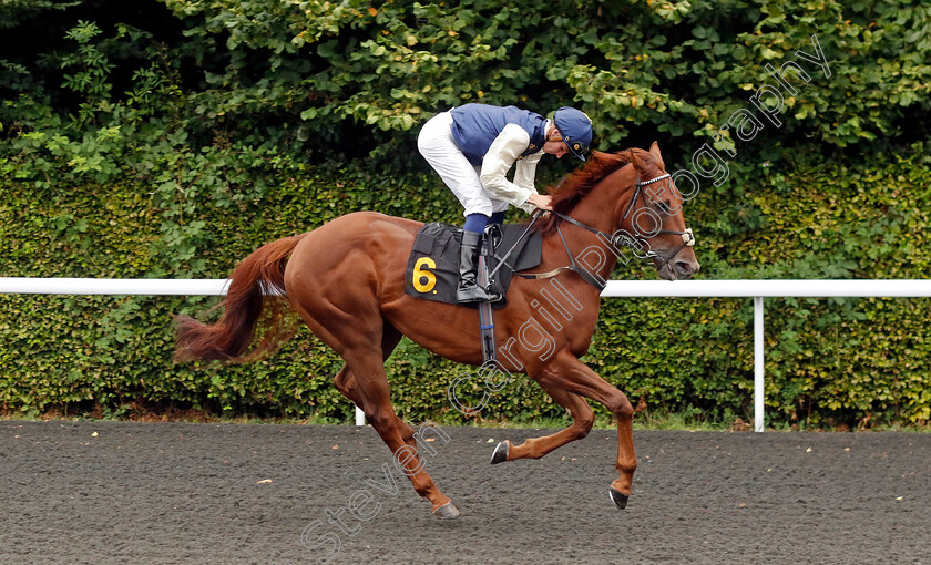 Laguna-Boy-0001 
 LAGUNA BOY (Hector Crouch)
Kempton 7 Aug 2024 - Pic Steven Cargill / Racingfotos.com