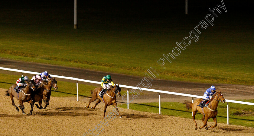 Bollihope-0001 
 BOLLIHOPE (Robert Havlin) wins The Betway Casino Handicap
Wolverhampton 7 Jan 2019 - Pic Steven Cargill / Racingfotos.com