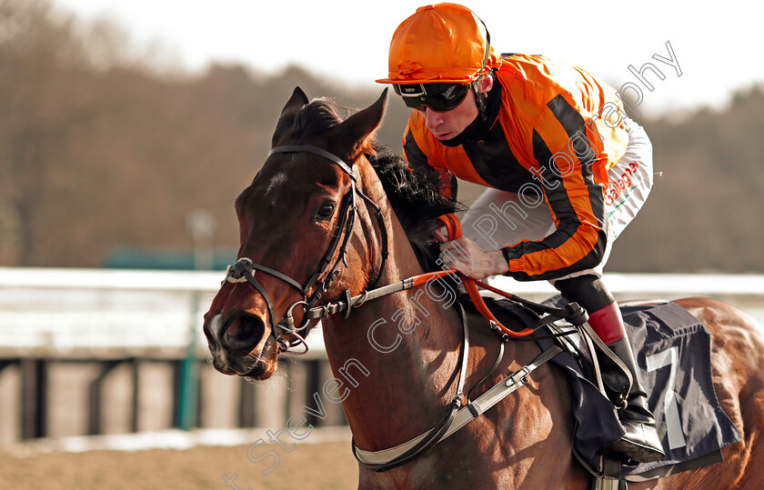 Passionova-0007 
 PASSIONOVA (Shane Kelly) wins The Ladbrokes Watch Racing Online For Free Fillies Novice Stakes
Lingfield 13 Feb 2021 - Pic Steven Cargill / Racingfotos.com