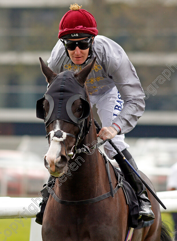 Mazyoun-0001 
 MAZYOUN (Pat Cosgrave) Newbury 21 Apr 2018 - Pic Steven Cargill / Racingfotos.com