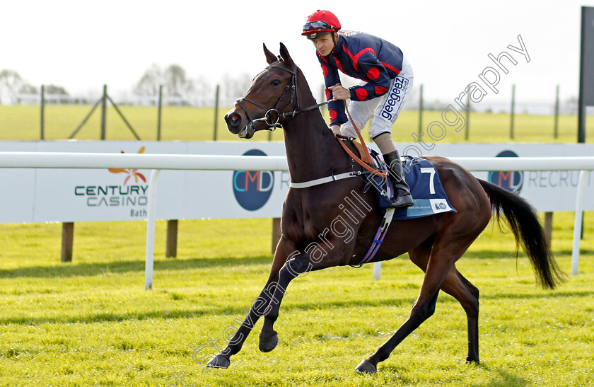 Grace-And-Danger-0001 
 GRACE AND DANGER (David Probert)
Bath 16 Oct 2019 - Pic Steven Cargill / Racingfotos.com