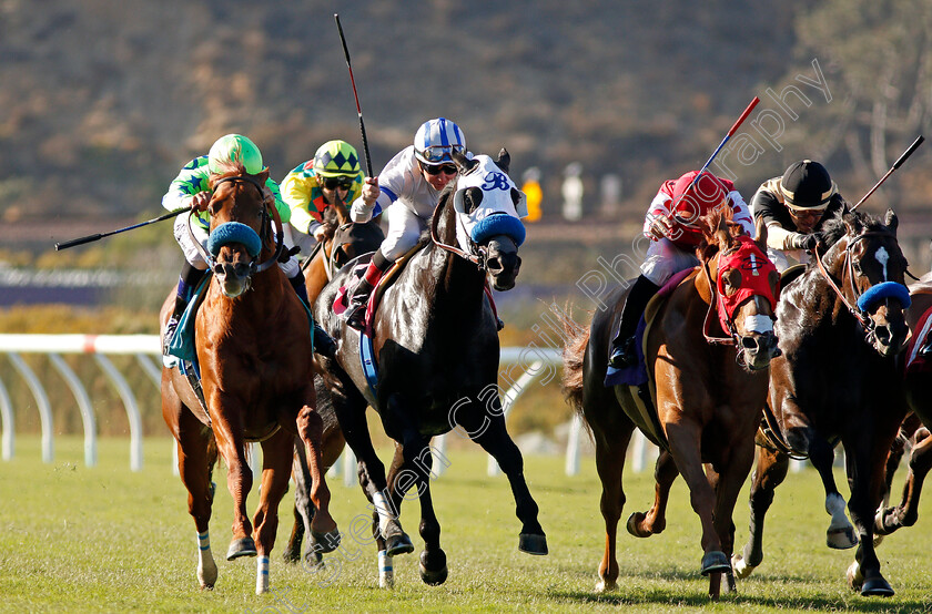 He-Will-0005 
 HE WILL (left, Mike Smith) wins The Lure Stakes, Del Mar USA 2 Nov 2017 - Pic Steven Cargill / Racingfotos.com