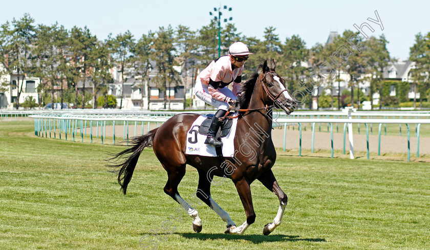 Iresine-0001 
 IRESINE (M Velon)
Deauville 7 Aug 2022 - Pic Steven Cargill / Racingfotos.com