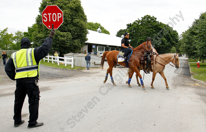 Justify-0018 
 The traffic is stopped for JUSTIFY (Martine Garcia) after exercising in preparation for The Belmont Stakes
Belmont Park USA 7 Jun 2018 - Pic Steven Cargill / Racingfotos.com