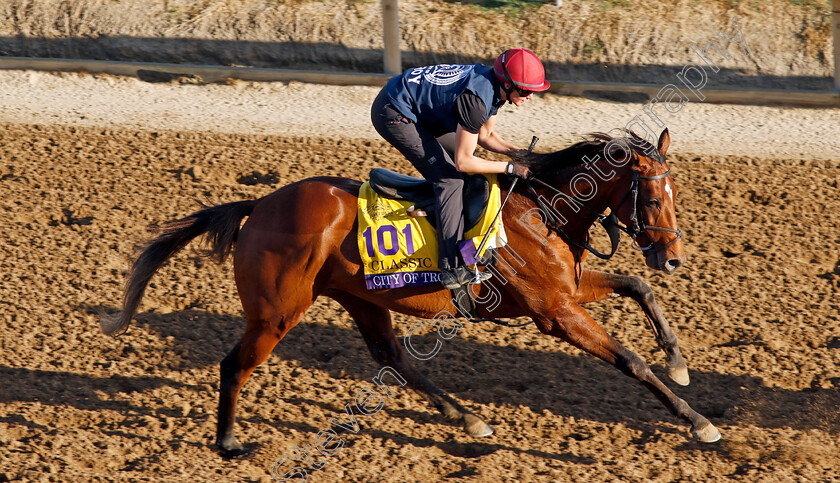 City-Of-Troy-0003 
 CITY OF TROY training for the Breeders' Cup Classic
Del Mar USA 30 Oct 2024 - Pic Steven Cargill / Racingfotos.com