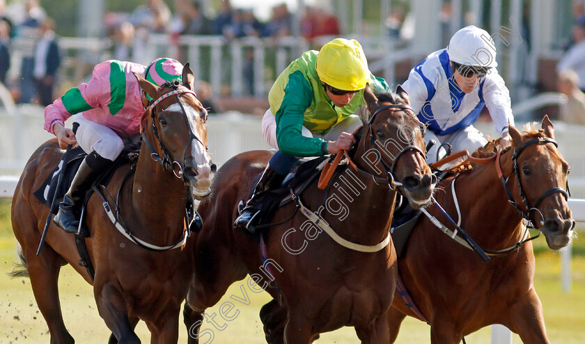 Metal-Merchant-0006 
 METAL MERCHANT (centre, William Buick) beats PRINCE NABEEL (left) and CRACKOVIA (right) in The Ire-Incentive It Pays To Buy Irish EBF Restricted Novice Stakes
Chelmsford 7 Jun 2022 - Pic Steven Cargill / Racingfotos.com