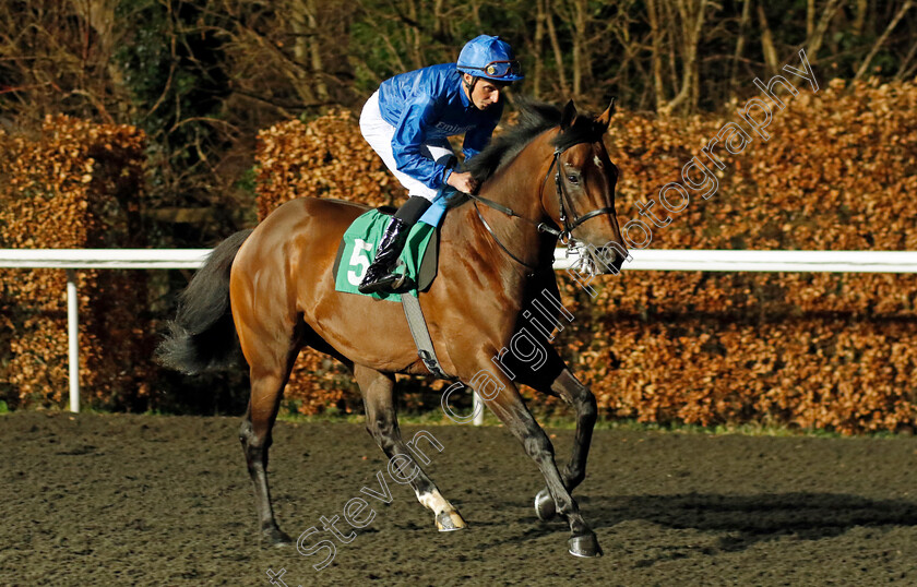 Musical-Dancer-0003 
 MUSICAL DANCER (William Buick) winner of The Unibet More Extra Place Races Maiden Stakes Div2
Kempton 14 Feb 2024 - Pic Steven Cargill / Racingfotos.com