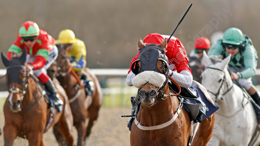 Crimewave-0005 
 CRIMEWAVE (Jack Mitchell) wins The Heed Your Hunch At Betway Handicap
Lingfield 22 Feb 2020 - Pic Steven Cargill / Racingfotos.com