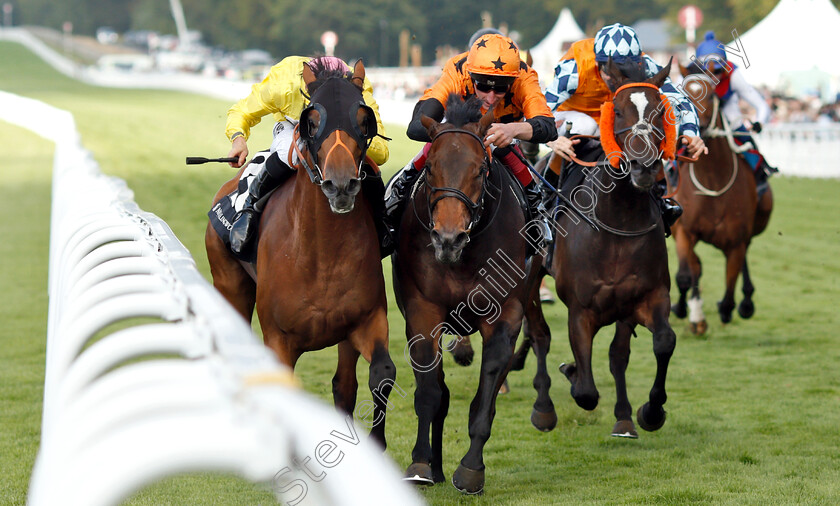 Dirty-Rascal-0001 
 DIRTY RASCAL (left, Tom Marquand) beats SALUTE THE SOLDIER (centre) in The New & Lingwood Handicap
Goodwood 31 Jul 2019 - Pic Steven Cargill / Racingfotos.com