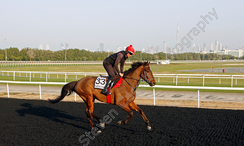 Charging-Thunder-0002 
 CHARGING THUNDER training at Meydan, Dubai
2 Feb 2023 - Pic Steven Cargill / Racingfotos.com