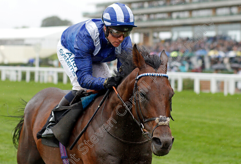 Hukum-0008 
 HUKUM (Jim Crowley) wins The ABF/BGC Cumberland Lodge Stakes
Ascot 2 Oct 2021 - Pic Steven Cargill / Racingfotos.com