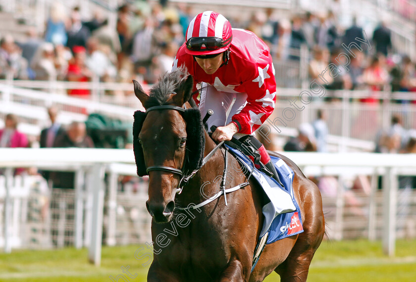 GoIng-Remote-0002 
 GOING REMOTE (Colin Keane)
York 24 Aug 2024 - Pic Steven Cargill / Racingfotos.com