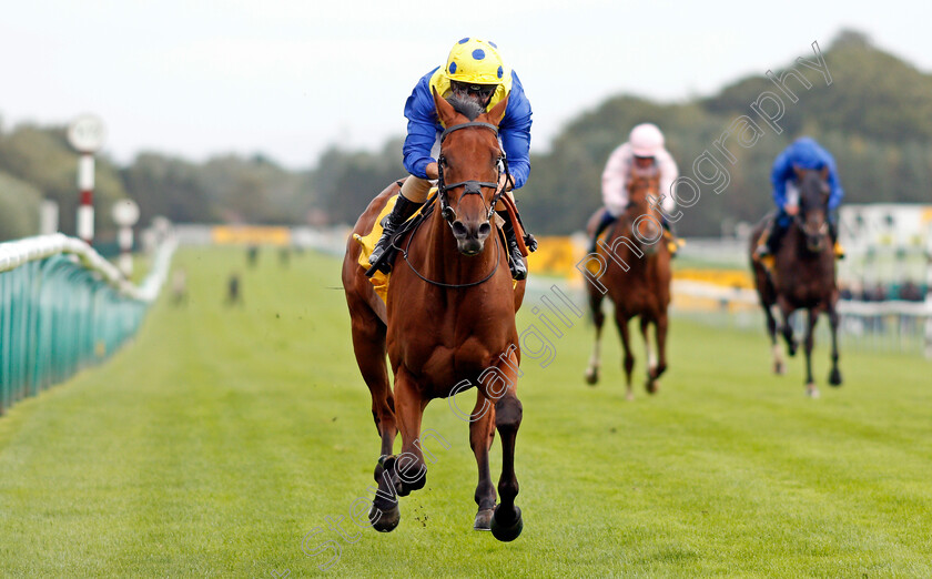 Favorite-Moon-0007 
 FAVORITE MOON (Andrea Atzeni) wins The Best Odds On Betfair Exchange Handicap
Haydock 5 Sep 2020 - Pic Steven Cargill / Racingfotos.com