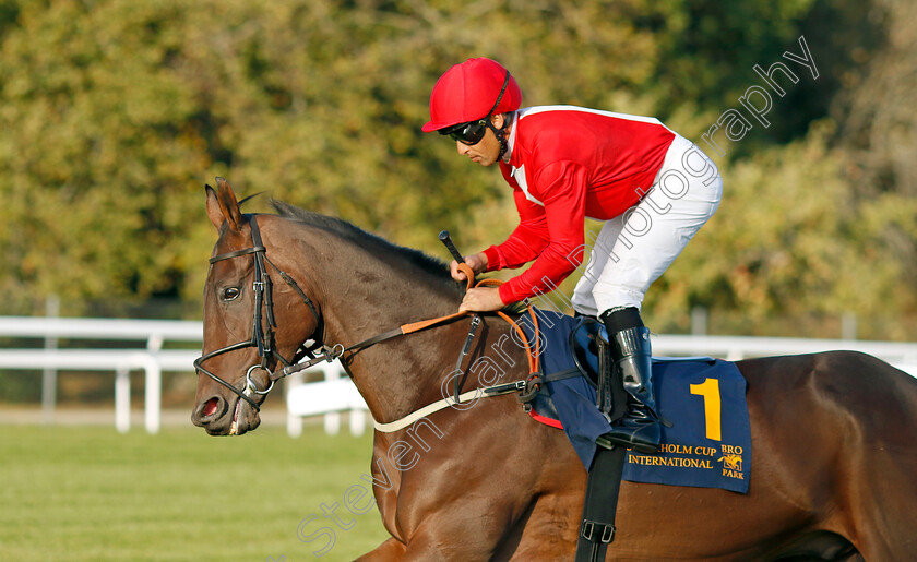 Seneschal-0001 
 SENESCHAL (Sandro de Paiva)
Bro Park, Sweden 15 Sep 2024 - Pic Steven Cargill / Racingfotos.com