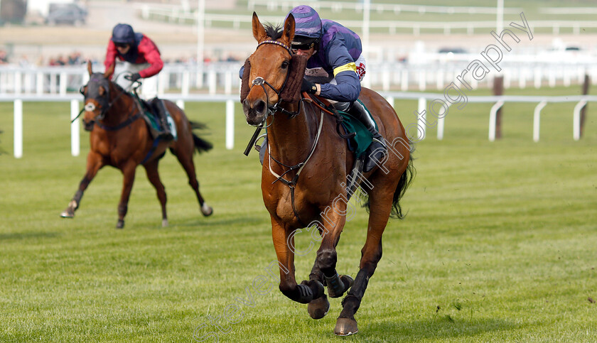 Bob-Mahler-0004 
 BOB MAHLER (Daryl Jacob) wins The Arkells Brewery Nicholson Holman Novices Limited Handicap Chase
Cheltenham 17 Apr 2019 - Pic Steven Cargill / Racingfotos.com