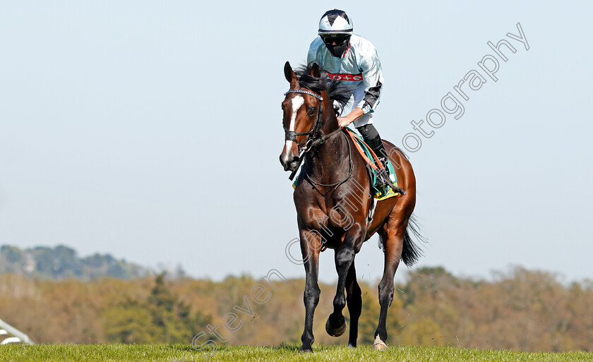 Alenquer-0001 
 ALENQUER (Tom Marquand) winner of The bet365 Classic Trial
Sandown 23 Apr 2021 - Pic Steven Cargill / Racingfotos.com