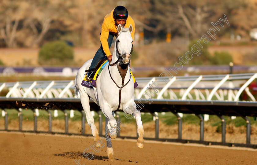 Arthur s-Ride-0001 
 ARTHUR'S RIDE training for the Breeders' Cup Classic
Del Mar USA 31 Oct 2024 - Pic Steven Cargill / Racingfotos.com