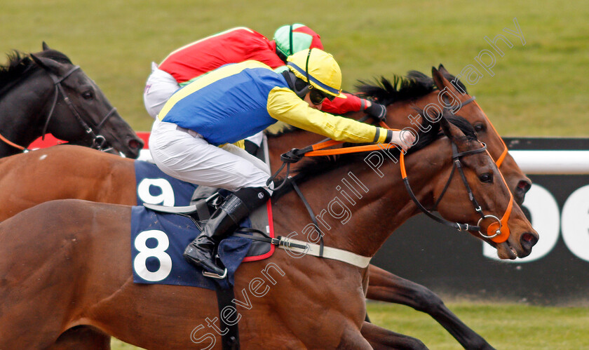 Starfighter-0006 
 STARFIGHTER (Richard Kingscote) wins The Heed Your Hunch At Betway Handicap
Wolverhampton 13 Mar 2021 - Pic Steven Cargill / Racingfotos.com