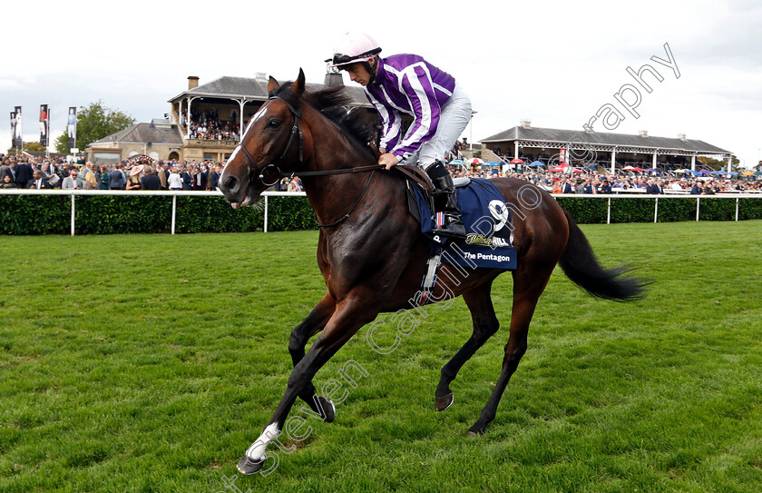 The-Pentagon-0001 
 THE PENTAGON (Wayne Lordan)
Doncaster 15 Sep 2018 - Pic Steven Cargill / Racingfotos.com