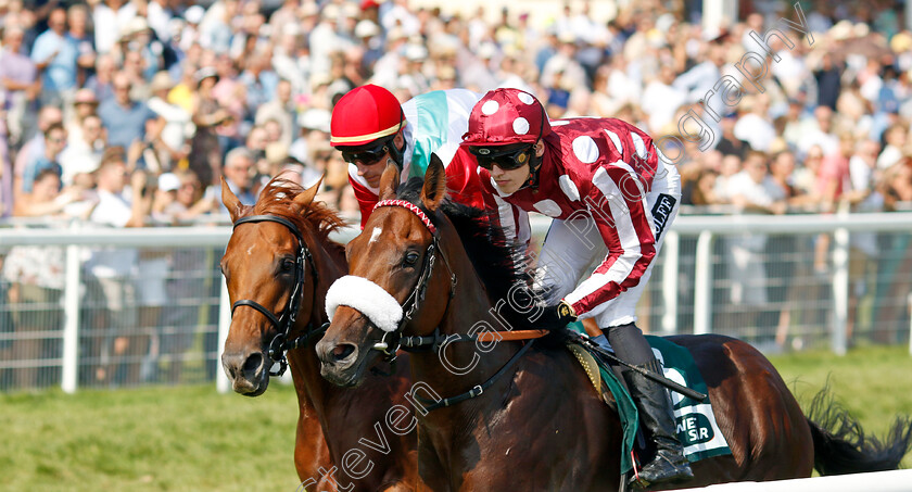 Mr-Hollywood-0002 
 MR HOLLYWOOD (Leon Wolff)
Baden Baden 1 Sep 2024 - Pic Steven Cargill / Racingfotos.com