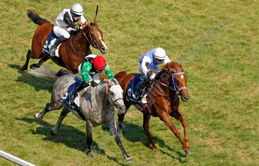 El-Paso-T-0001 
 EL PASO T (right, Kobe Vanderbeke) beats DJAFAR (left) in The President of the United Arab Emirates Cup
Baden Baden 1 Sep 2024 - Pic Steven Cargill / Racingfotos.com