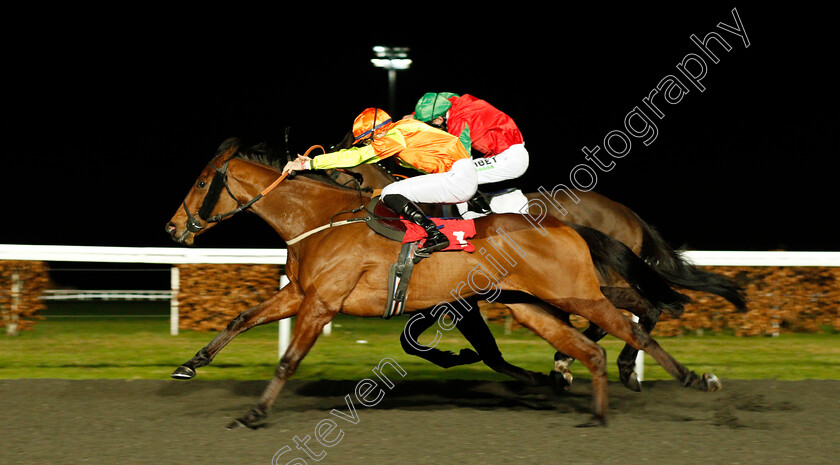 Agent-Of-Fortune-0003 
 AGENT OF FORTUNE (Hector Crouch) wins The 32Red On The App Store Handicap
Kempton 17 Feb 2020 - Pic Steven Cargill / Racingfotos.com