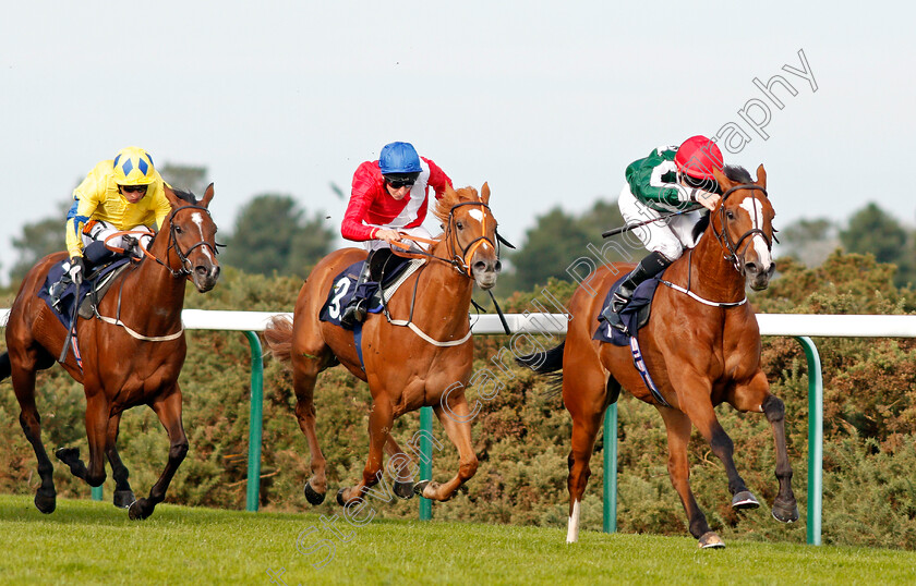 Beautiful-Morning-0002 
 BEAUTIFUL MORNING (Colm O'Donoghue) beats FLOOD WARNING (centre) and SOMETHINGTHRILLING (left) in The EBF Stallions John Musker Fillies Stakes Yarmouth 20 Sep 2017 - Pic Steven Cargill / Racingfotos.com