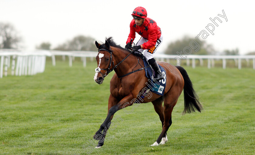 Roystonia-0001 
 ROYSTONIA (Silvestre De Sousa)
Bath 17 Oct 2018 - Pic Steven Cargill / Racingfotos.com