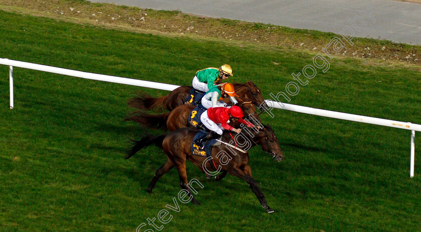 Dardenne-0001 
 DARDENNE (Jan Erik Neuroth) wins The Breeders Trophy Sprint
Bro Park, Sweden 21 Sep 2018 - Pic Steven Cargill / Racingfotos.com