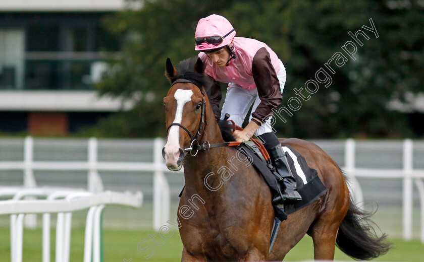 Cinnodin-0006 
 CINNODIN (Finley Marsh) winner of The Bob Barker Memorial Handicap
Newbury 27 Jul 2023 - Pic Steven Cargill / Racingfotos.com