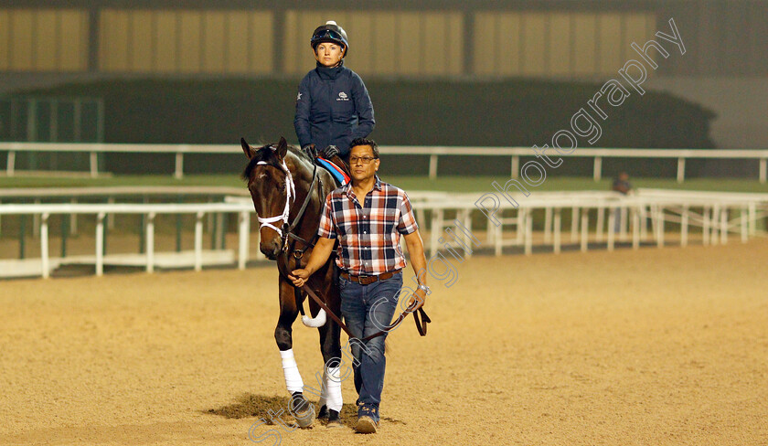 Life-Is-Good-0002 
 LIFE IS GOOD training for the Dubai World Cup
Meydan, Dubai, 22 Mar 2022 - Pic Steven Cargill / Racingfotos.com